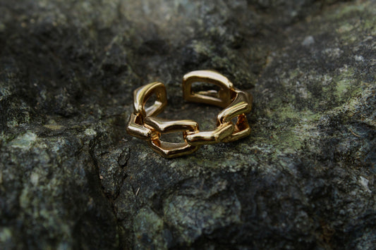 Chain Ring